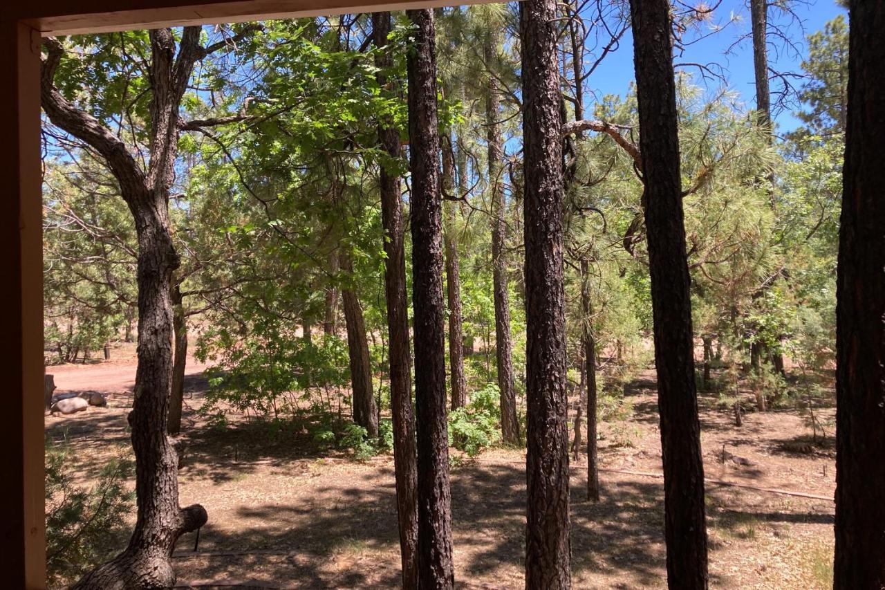 Villa Tranquil Pines Retreat Pinetop-Lakeside Exterior foto